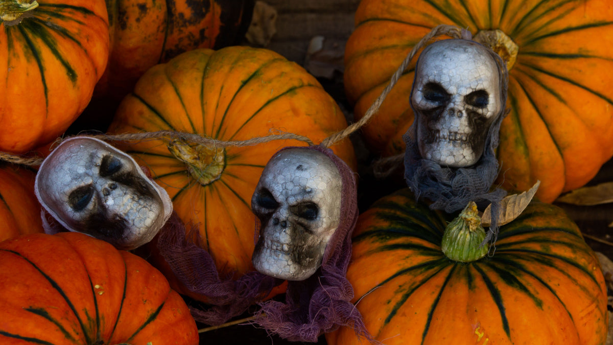 Our Top Spots to Check Out This Halloween in Toronto