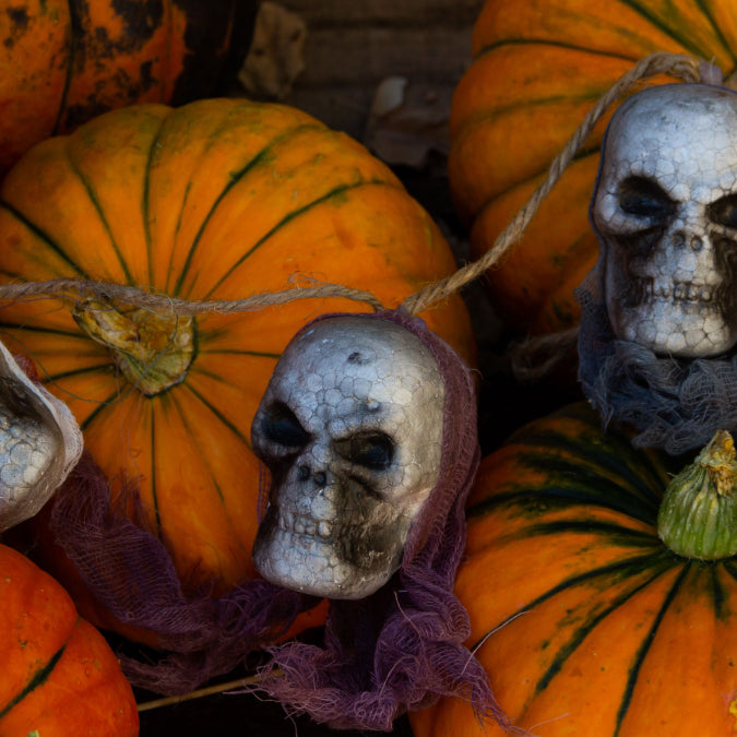 Our Top Spots to Check Out This Halloween in Toronto