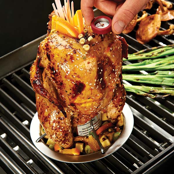 Broil King Chicken Roaster - 69132