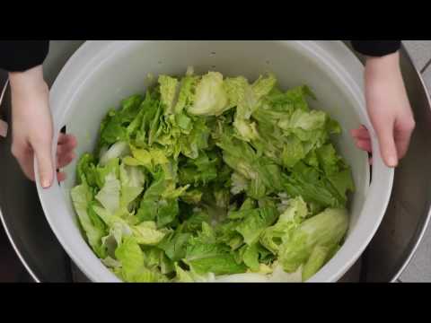 Dynamic Salad Spinner – 1 Gal.